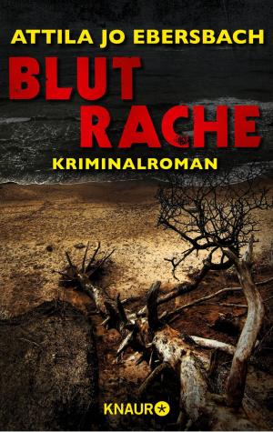 Cover of the book Blutrache. Ein Edersee-Krimi by Scott McBain