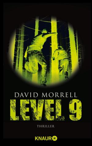 bigCover of the book Level 9 by 