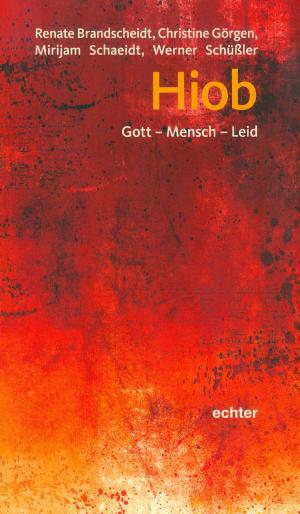 Cover of the book Hiob by Ottmar Fuchs