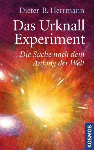 Cover of the book Das Urknall-Experiment by Alena Steinbach, Dietmar Steinbach