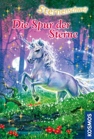 Book cover of Sternenschweif, 45, Die Spur der Sterne