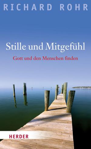 Book cover of Stille und Mitgefühl