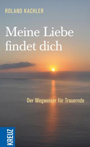 Cover of the book Meine Liebe findet dich by Christa Majer-Kachler, Roland Kachler