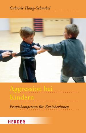 Book cover of Aggression bei Kindern