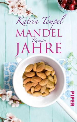 Cover of the book Mandeljahre by Angela Troni