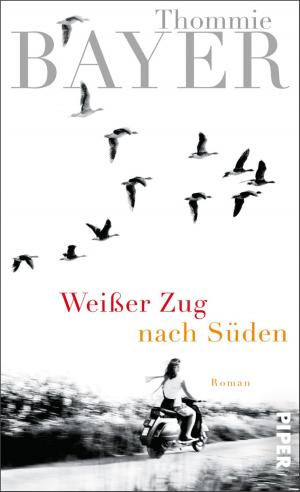 Cover of the book Weißer Zug nach Süden by Carlo Fruttero