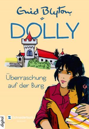 bigCover of the book Dolly, Band 13 by 