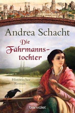 Book cover of Die Fährmannstochter