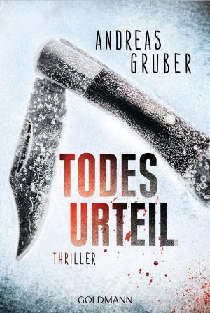Cover of the book Todesurteil by Beate Sauer