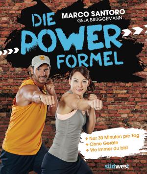 Cover of the book Die Power-Formel by Regina Rautenberg