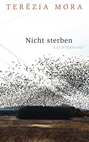 Cover of the book Nicht sterben by Juli Zeh