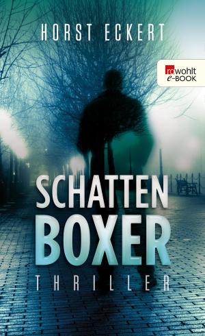 Cover of the book Schattenboxer by Greer Hendricks, Sarah Pekkanen