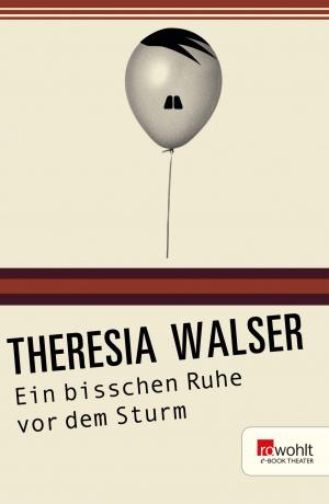 Cover of the book Ein bisschen Ruhe vor dem Sturm by Elfriede Jelinek