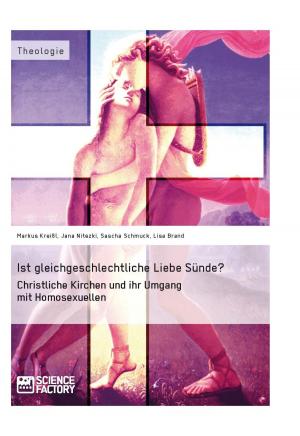 Book cover of Ist gleichgeschlechtliche Liebe Sünde? Christliche Kirchen und ihr Umgang mit Homosexuellen