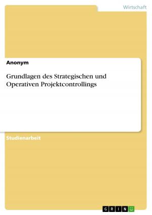 Cover of the book Grundlagen des Strategischen und Operativen Projektcontrollings by Patrice Jaeger