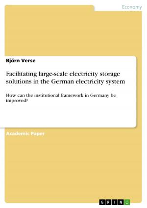 Cover of the book Facilitating large-scale electricity storage solutions in the German electricity system by Karoline Kmetetz-Becker
