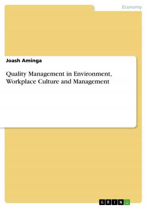 Cover of the book Quality Management in Environment, Workplace Culture and Management by Stefan Kirchner
