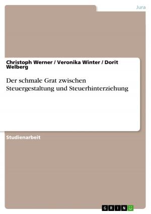 Cover of the book Der schmale Grat zwischen Steuergestaltung und Steuerhinterziehung by Stefan Schmidt