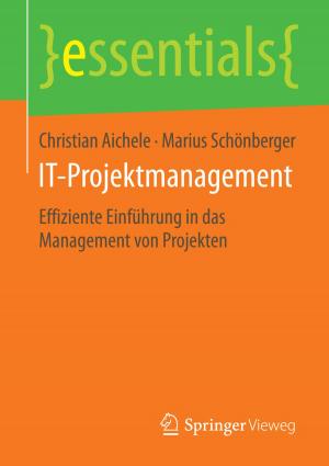 Cover of the book IT-Projektmanagement by Ekbert Hering