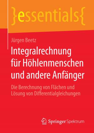 Cover of the book Integralrechnung für Höhlenmenschen und andere Anfänger by Bernd Heesen
