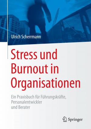 Cover of the book Stress und Burnout in Organisationen by W. Braune, O. Fischer