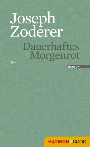 Cover of the book Dauerhaftes Morgenrot by Joseph Zoderer
