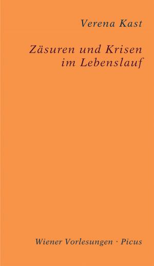 Book cover of Zäsuren und Krisen im Lebenslauf