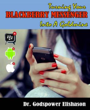 Cover of the book Turning Your BlackBerry® Messenger Into a Goldmine by Glenn Stirling
