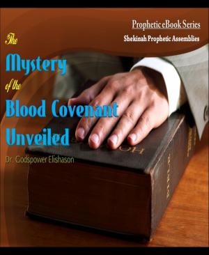 Cover of the book The Mystery of the Blood Covenant Unveiled by Achin Bhunia