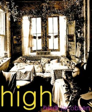 Cover of the book High by Daniel Isberner