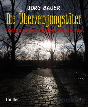 Cover of the book Die Überzeugungstäter by Florian Gerlach
