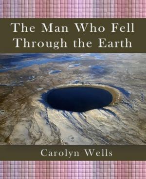 Book cover of The Man Who Fell Through the Earth