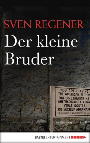 Book cover of Der kleine Bruder