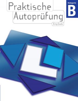 Cover of the book Praktische Autoprüfung by Thomas Schlayer