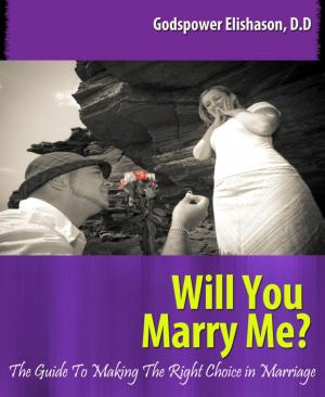 Cover of the book Will You Marry Me? by Mumin Godwin