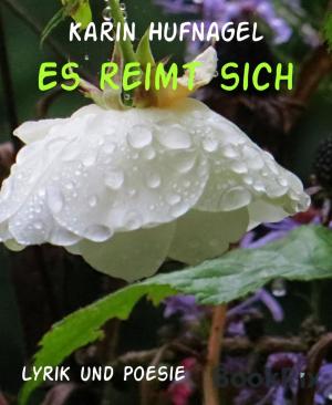 Book cover of Es reimt sich