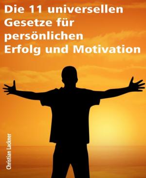 Book cover of Die 11 universellen Gesetze für persönlichen Erfolg und Motivation