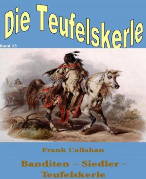 Cover of the book Banditen - Siedler - Teufelskerle by Cedric Balmore