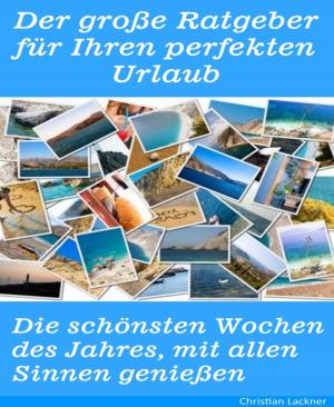 Book cover of Der große Ratgeber für Ihren perfekten Urlaub