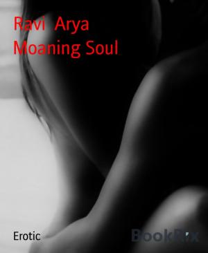 Cover of the book Moaning Soul by Larry Lash