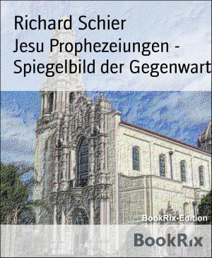 Cover of the book Jesu Prophezeiungen - Spiegelbild der Gegenwart by Dörte Müller