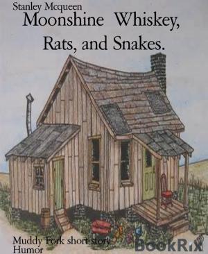 Cover of the book Moonshine Whiskey, Rats, and Snakes. by Julie Steimle