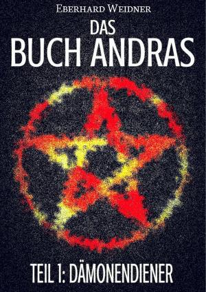 Cover of the book DAS BUCH ANDRAS I by Heinz Duthel