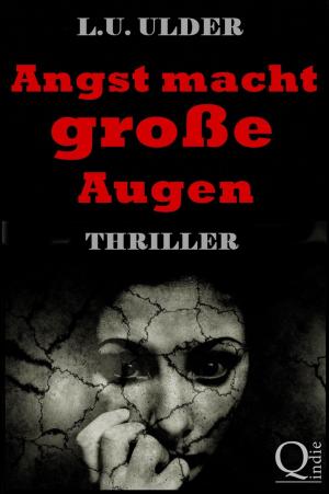 Cover of the book Angst macht große Augen by Manuel Eichhorn