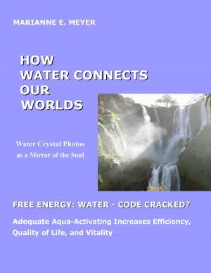 Cover of the book How Water Connects our Worlds by Hermann Dünhölter