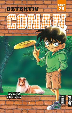 Book cover of Detektiv Conan 29