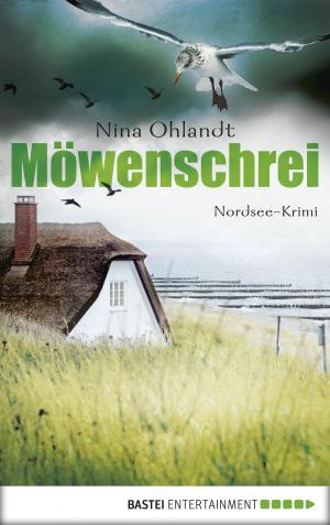 Cover of the book Möwenschrei by Jason Dark