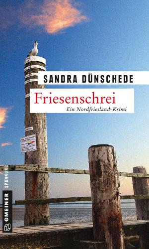 Cover of the book Friesenschrei by Ella Danz