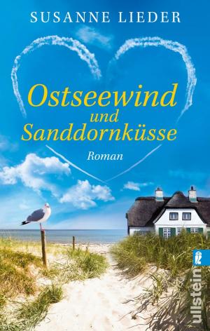 Cover of the book Ostseewind und Sanddornküsse by Tania Carver