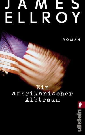 Cover of the book Ein amerikanischer Albtraum by Pascal Voggenhuber